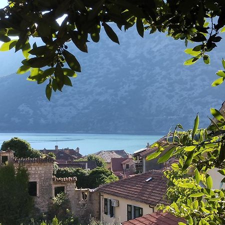 Apartments Montenegro Risan Cuckovic Eksteriør bilde