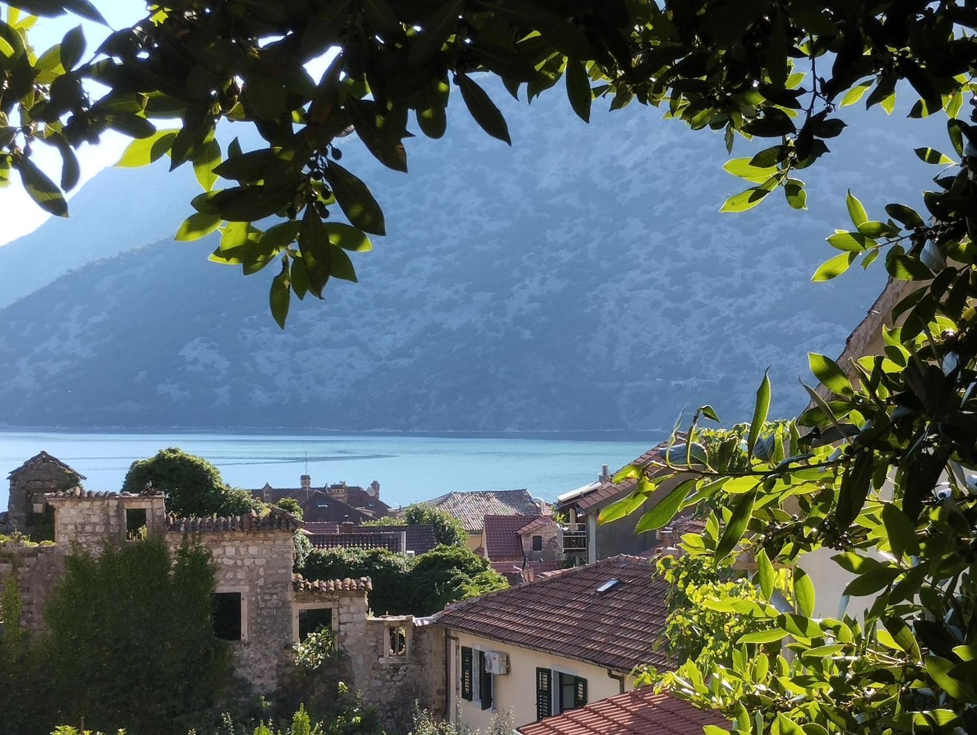 Apartments Montenegro Risan Cuckovic Eksteriør bilde